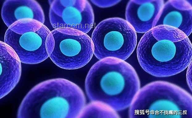 人类与螨虫共生的挑战及解决方案